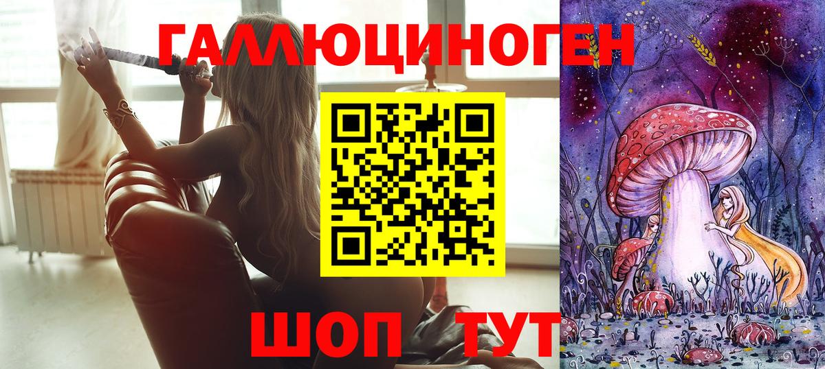 Псилоцибиновые грибы Psilocybe Дмитров