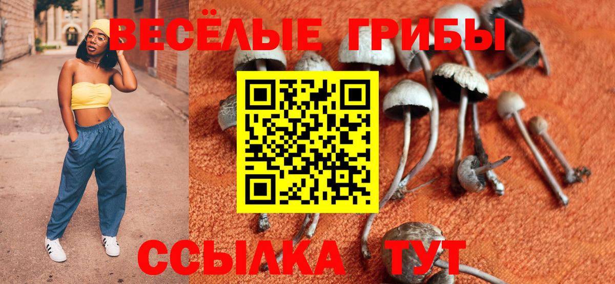 Дмитров  продажа наркотиков  Вход с VPN  Галлюциногенные грибы прущие грибы 